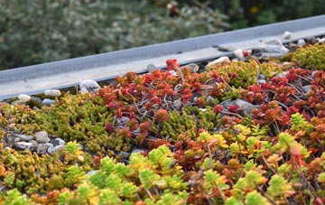 the cost of Holt Fleet green roof installation