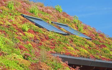 Holt Fleet living roof systems